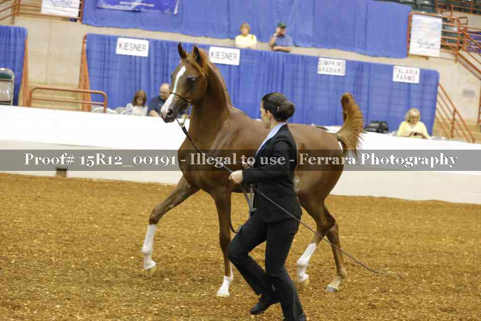 Proof 15R12_00191