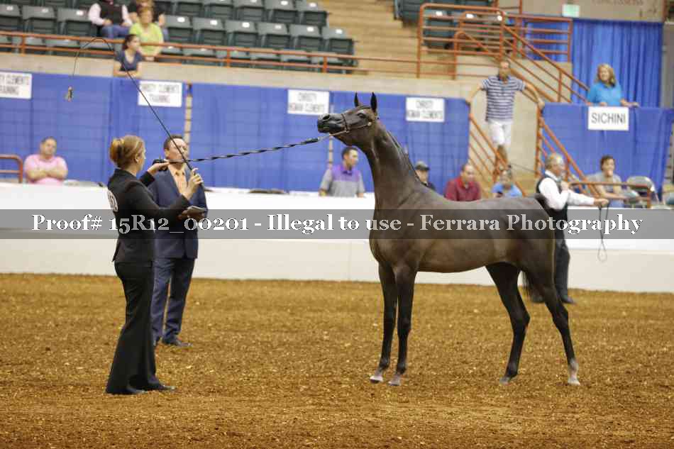 Proof 15R12_00201