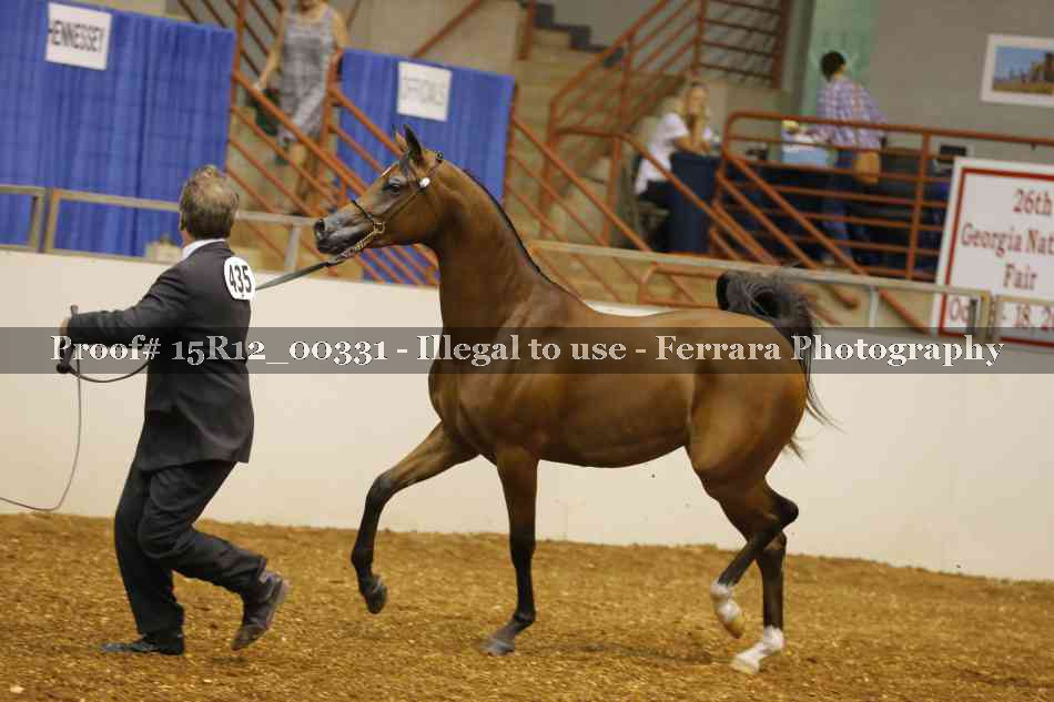 Proof 15R12_00331
