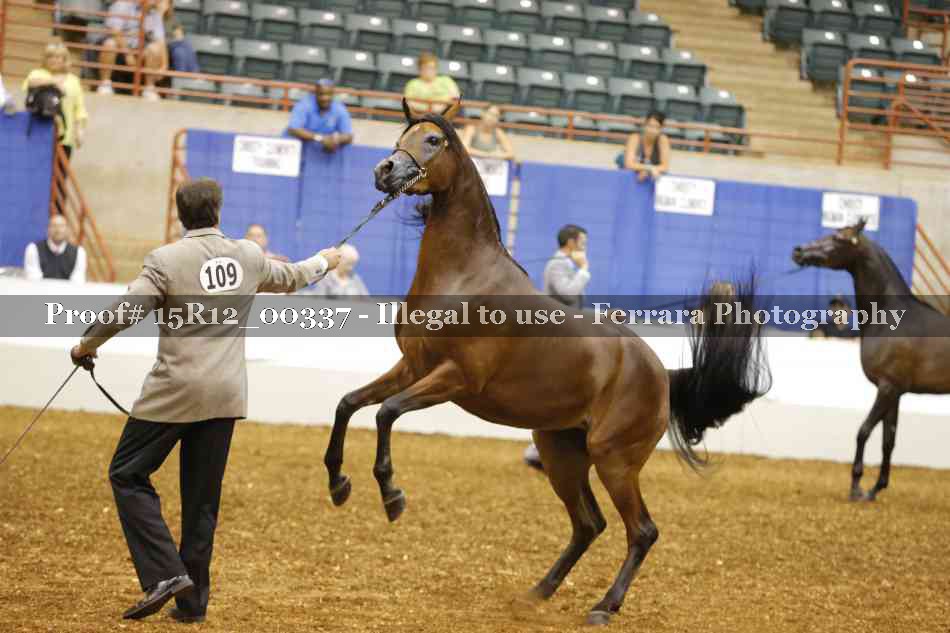 Proof 15R12_00337