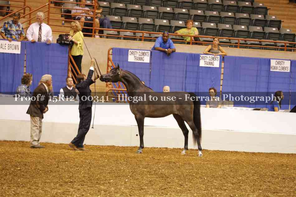 Proof 15R12_00341