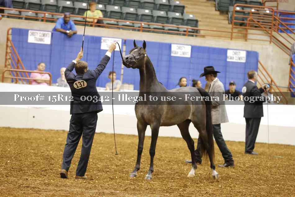Proof 15R12_00342