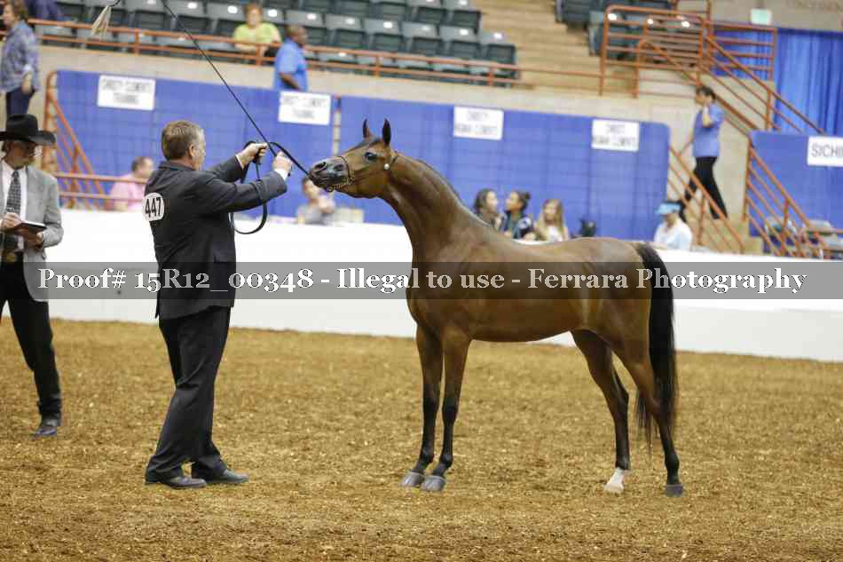Proof 15R12_00348