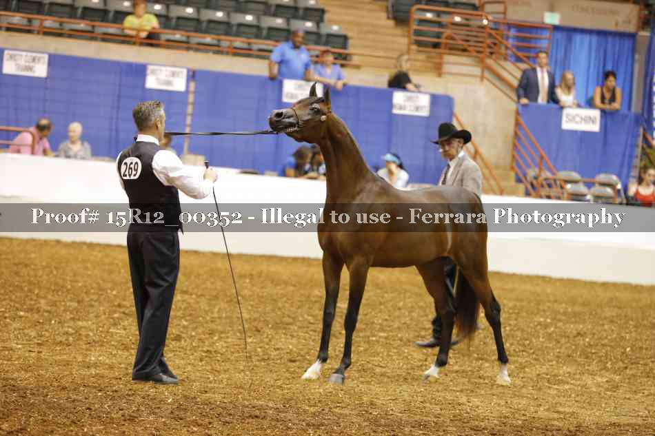 Proof 15R12_00352