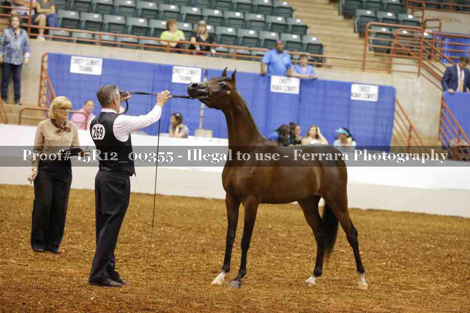 Proof 15R12_00355