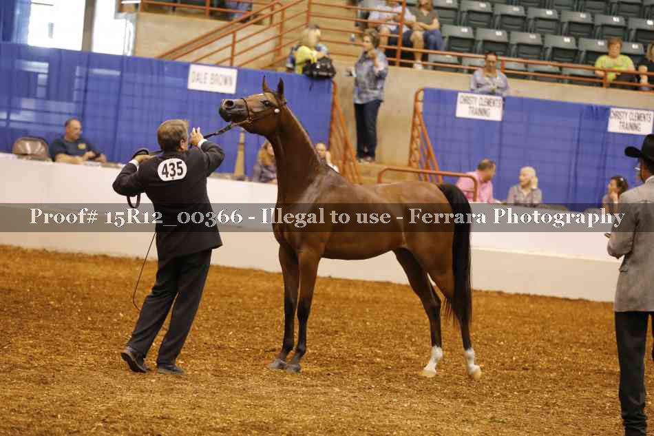 Proof 15R12_00366