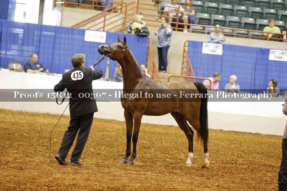 Proof 15R12_00367