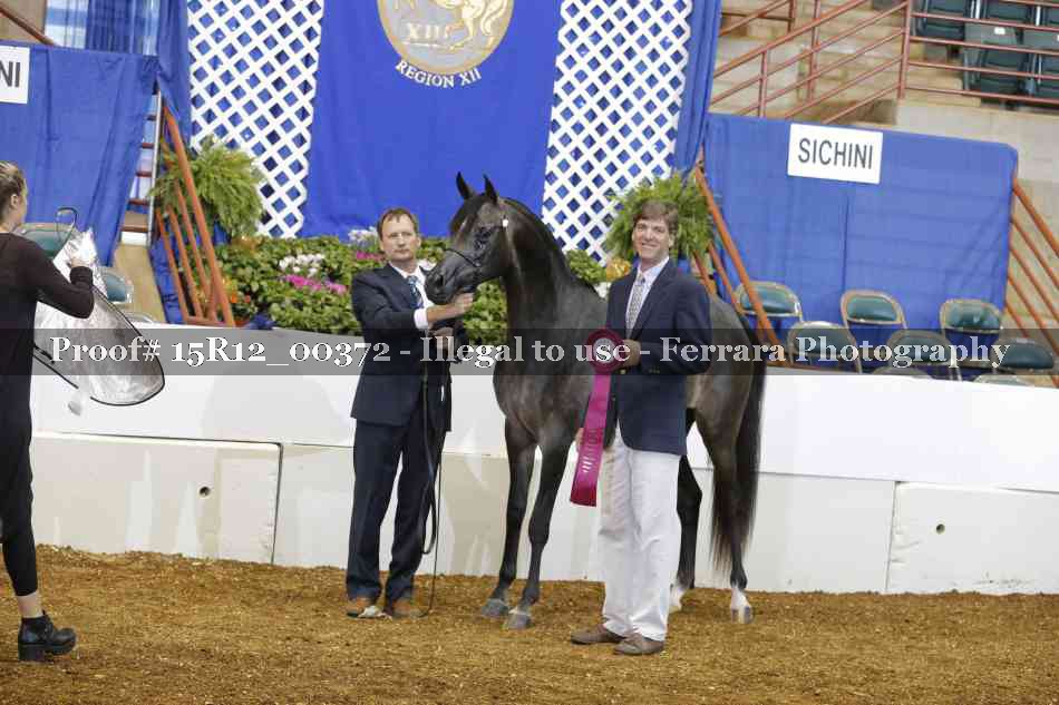 Proof 15R12_00372
