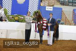 15R12_00382 proof