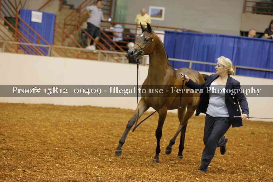Proof 15R12_00409