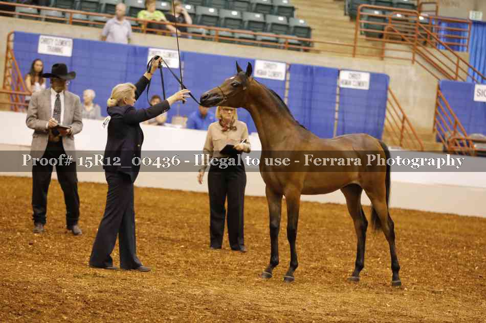 Proof 15R12_00436