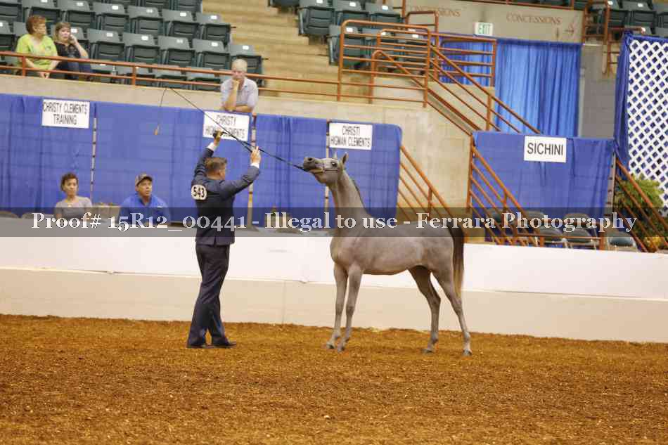 Proof 15R12_00441