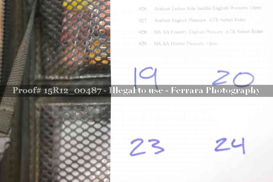 Proof 15R12_00487