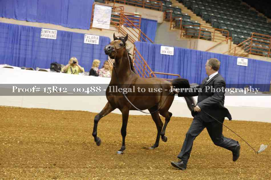 Proof 15R12_00488