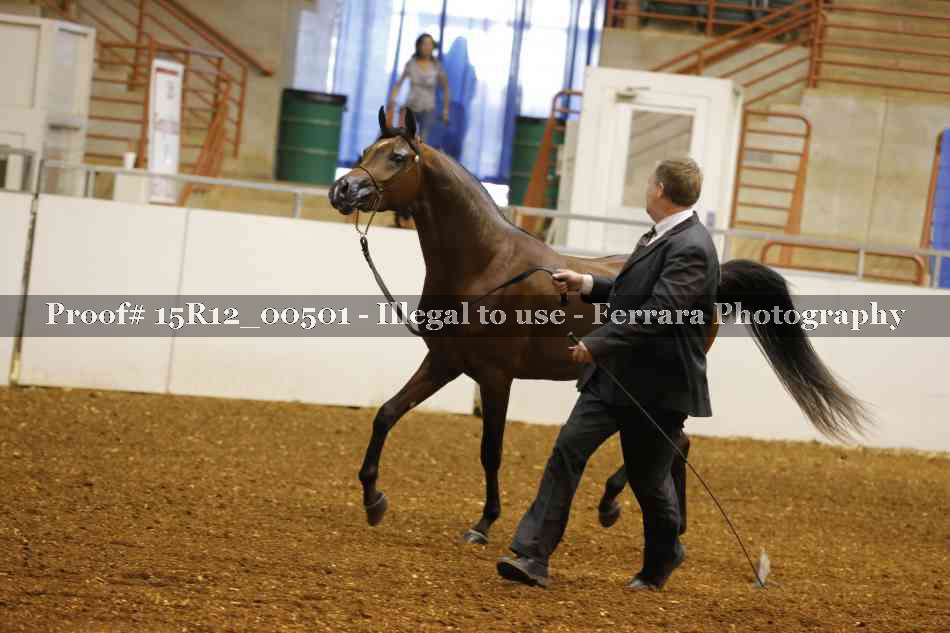 Proof 15R12_00501