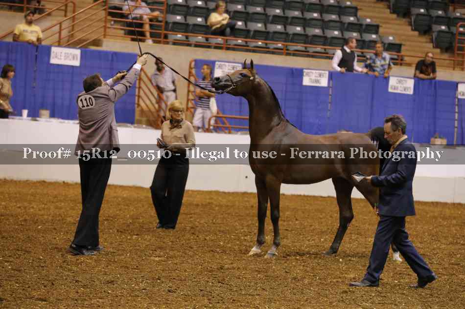 Proof 15R12_00510