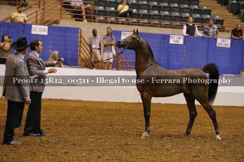 Proof 15R12_00511