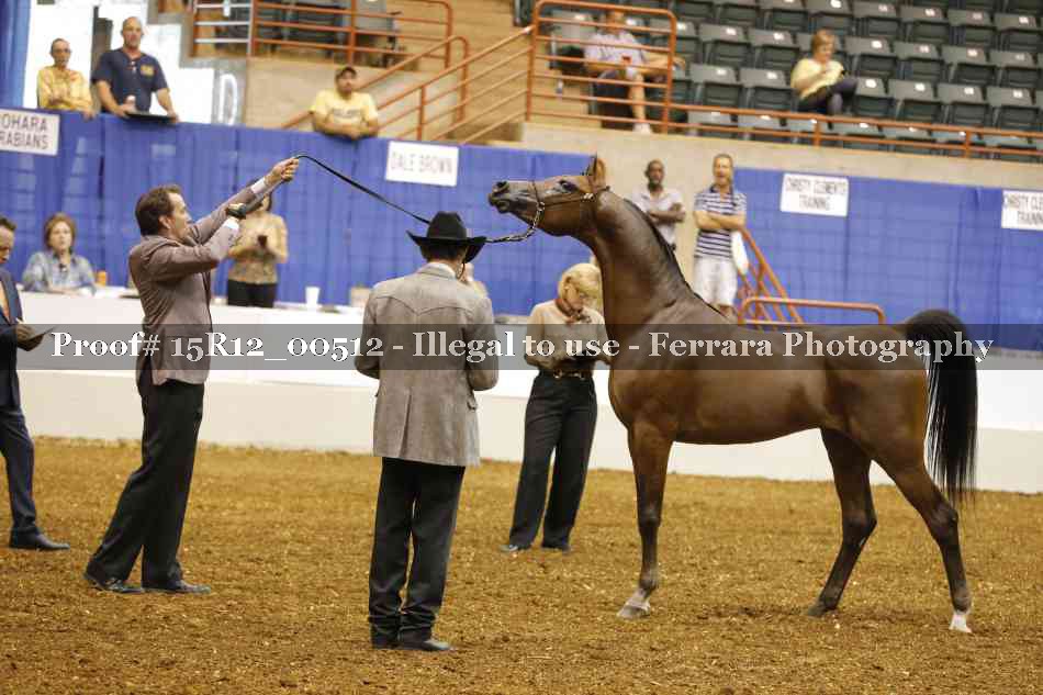 Proof 15R12_00512
