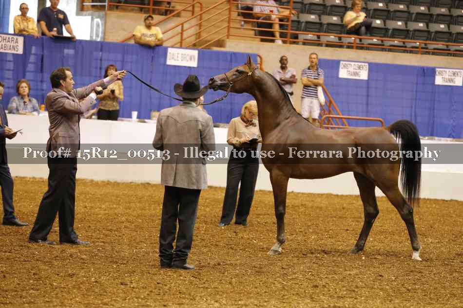 Proof 15R12_00513