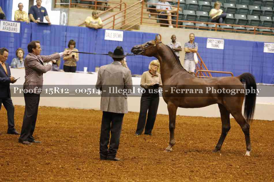 Proof 15R12_00514