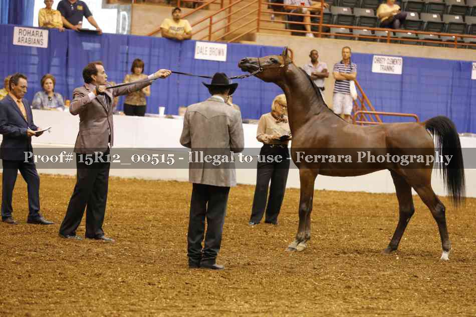 Proof 15R12_00515