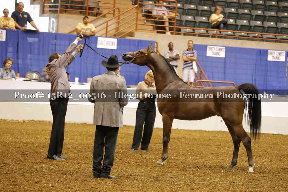 Proof 15R12_00516