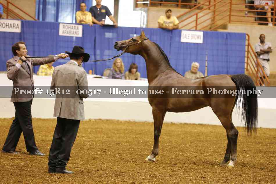Proof 15R12_00517