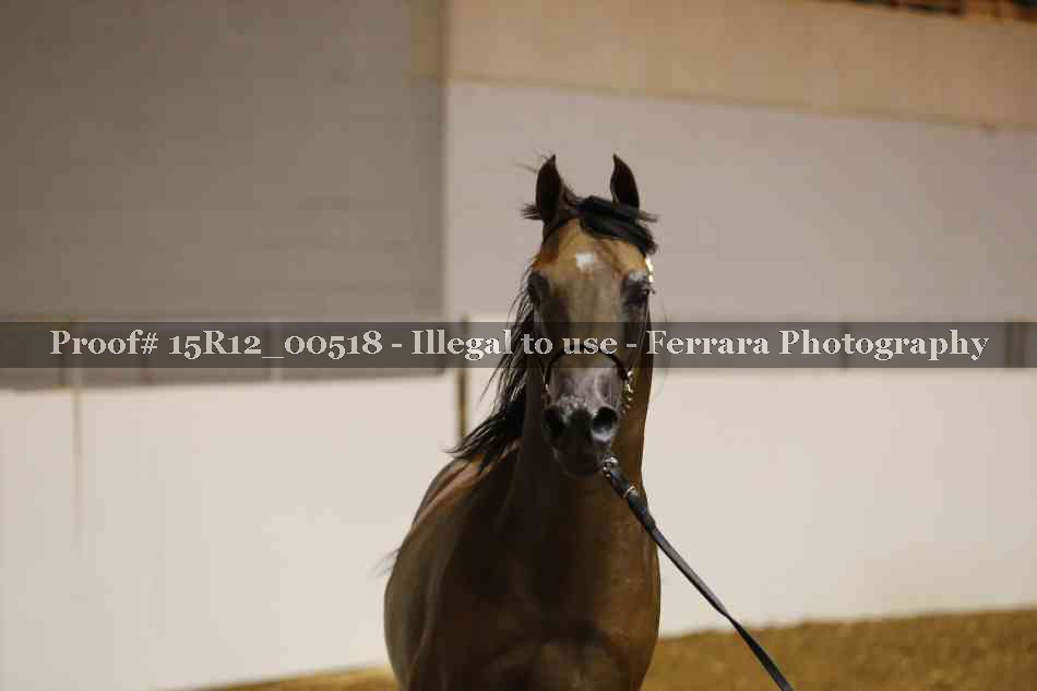 Proof 15R12_00518