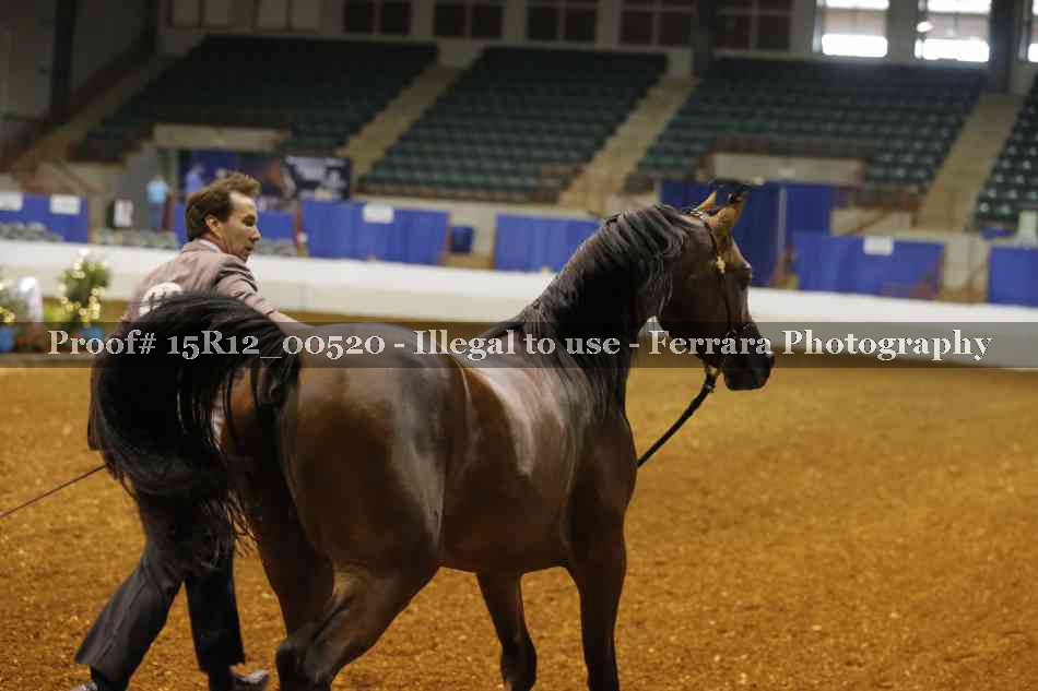 Proof 15R12_00520