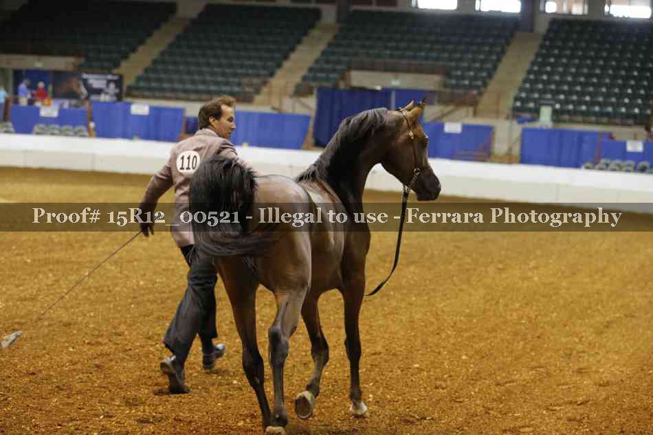 Proof 15R12_00521