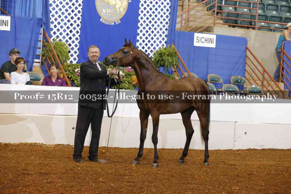 Proof 15R12_00522