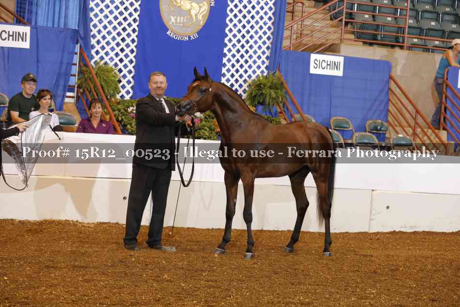 Proof 15R12_00523