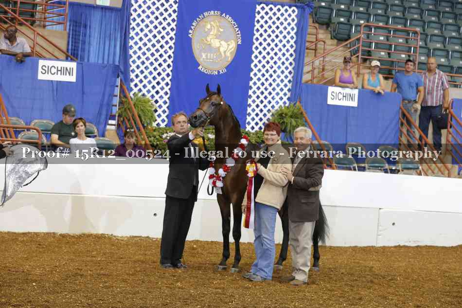 Proof 15R12_00524