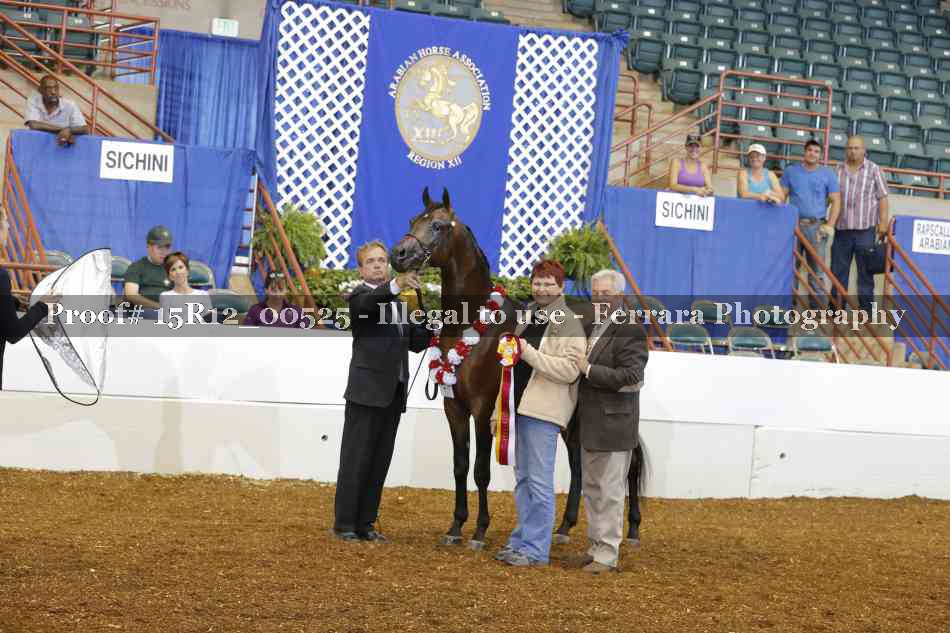 Proof 15R12_00525