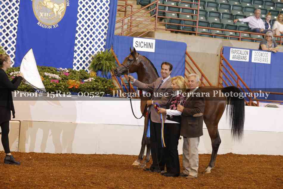 Proof 15R12_00527