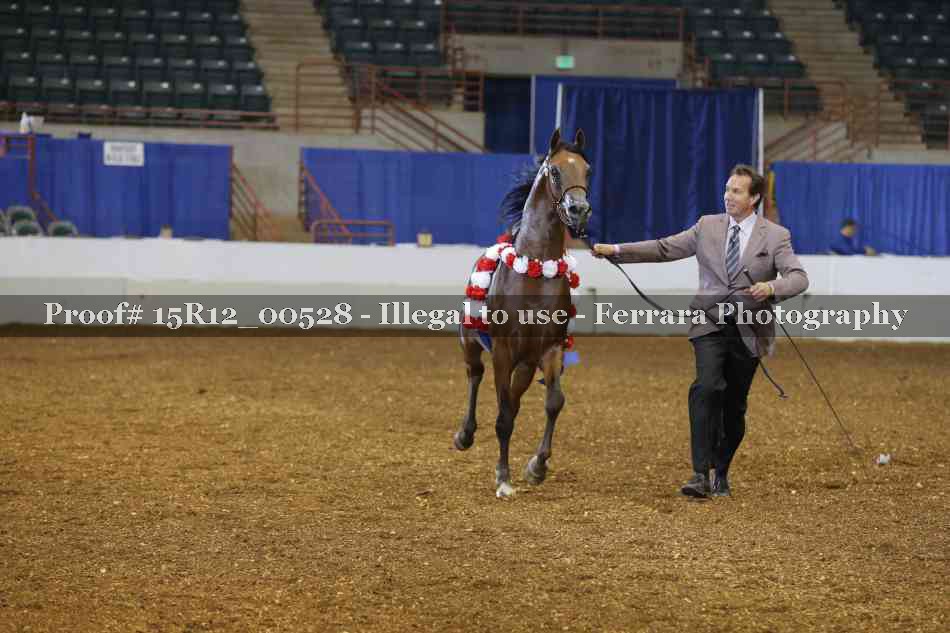 Proof 15R12_00528