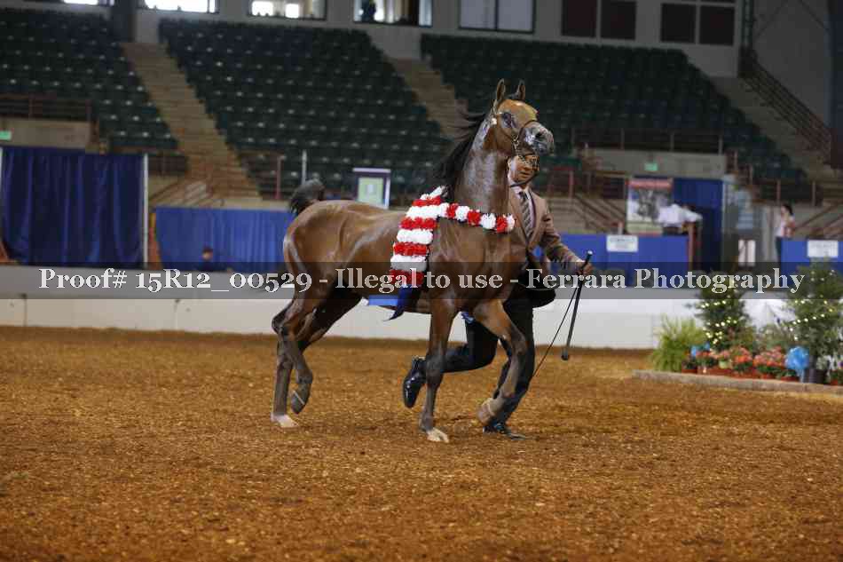 Proof 15R12_00529