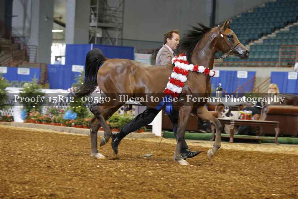 Proof 15R12_00530