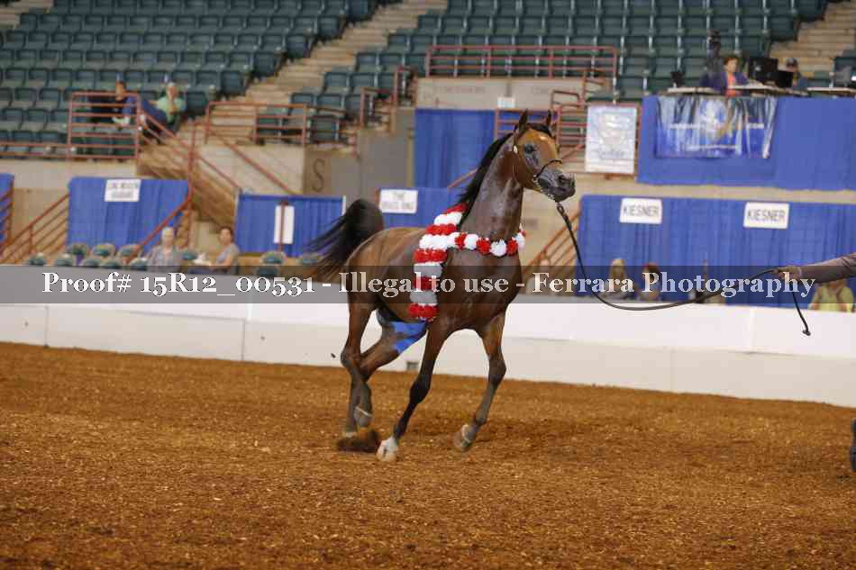 Proof 15R12_00531