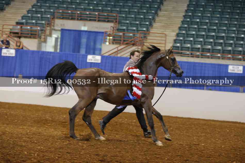 Proof 15R12_00532