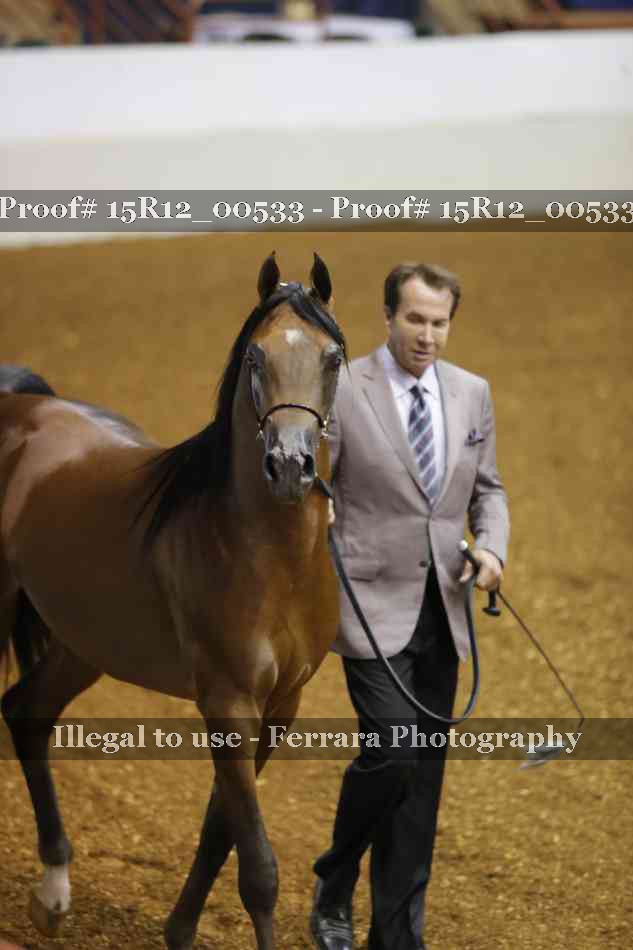 Proof 15R12_00533
