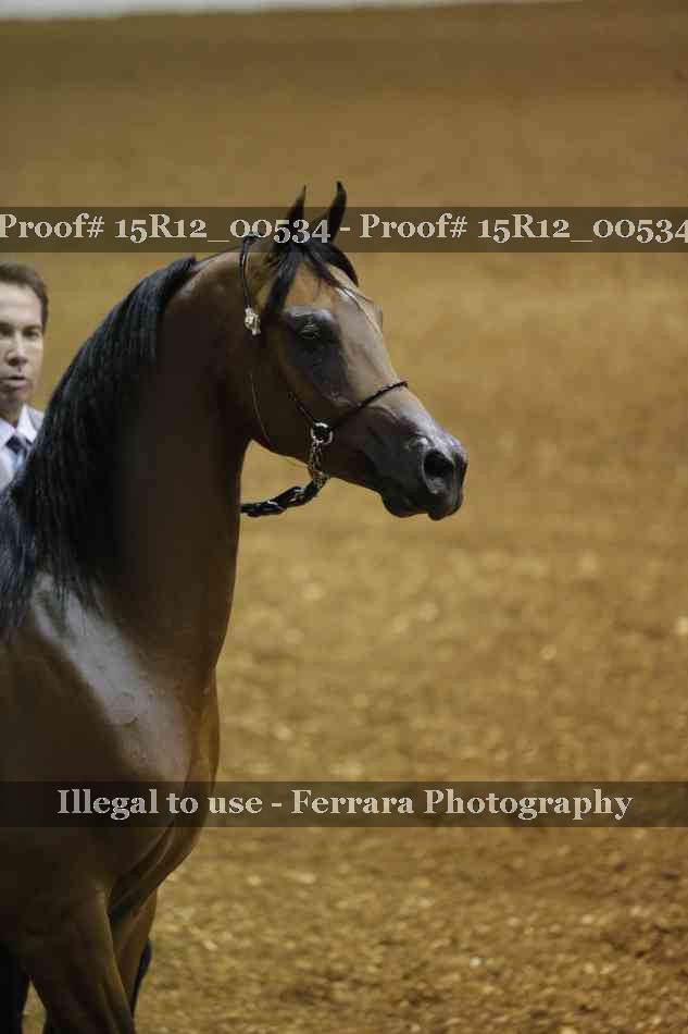 Proof 15R12_00534