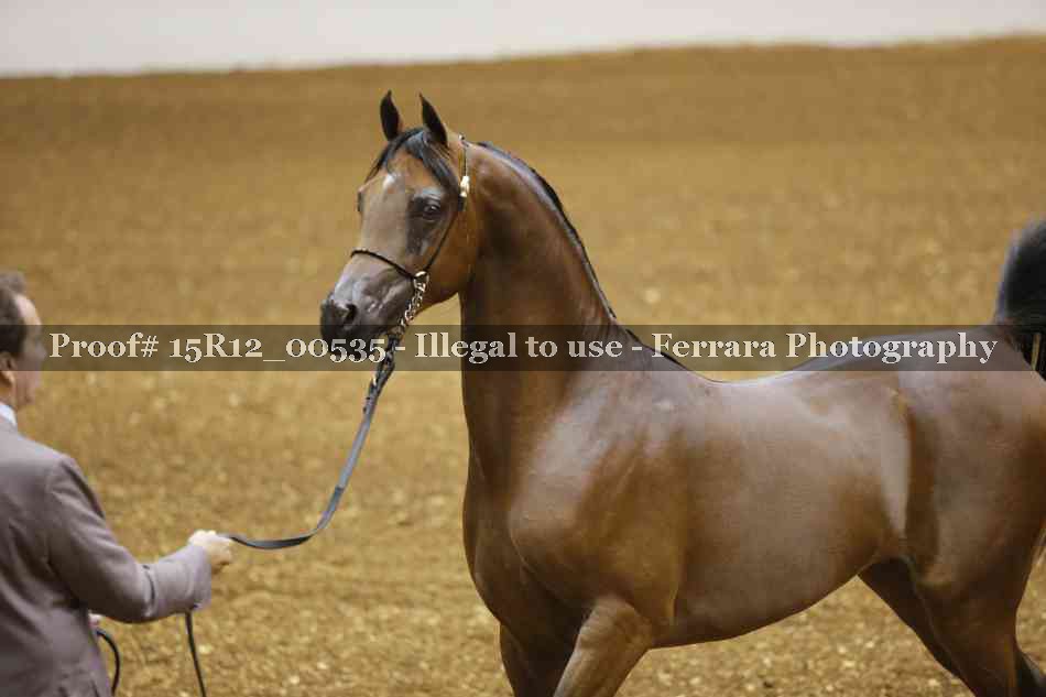 Proof 15R12_00535