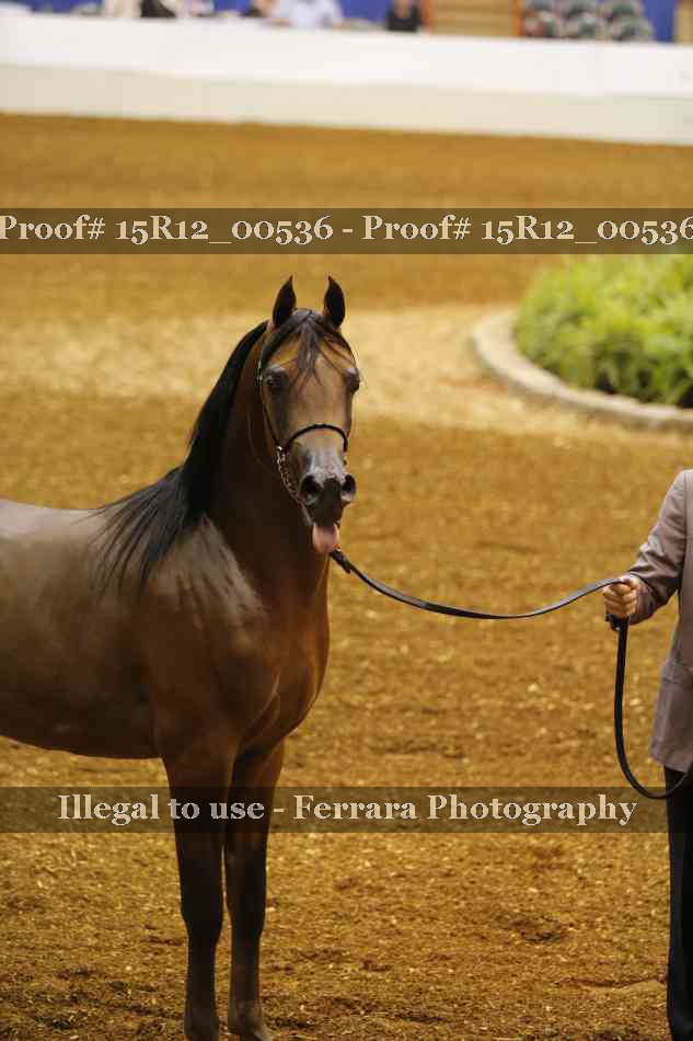 Proof 15R12_00536
