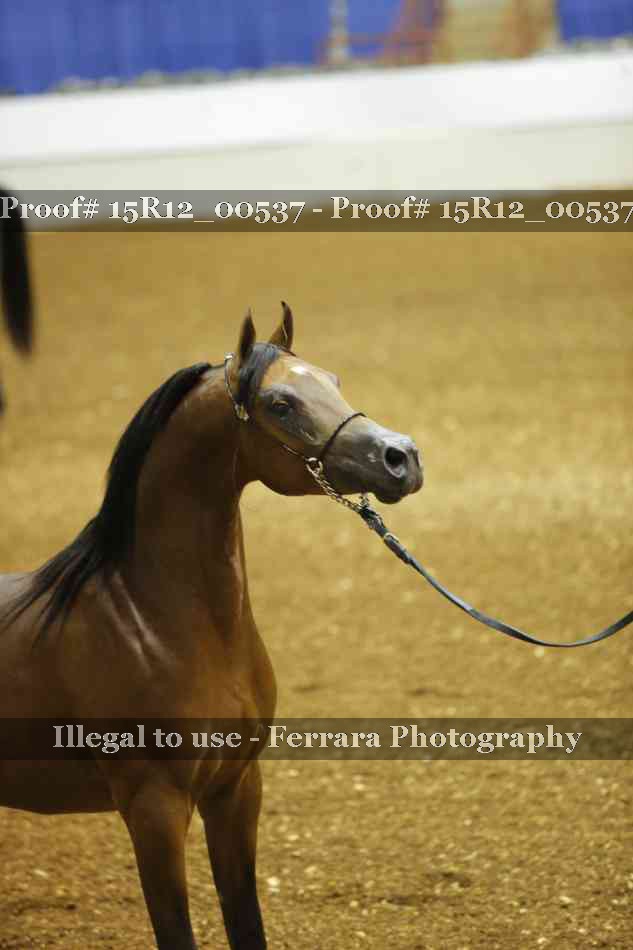 Proof 15R12_00537