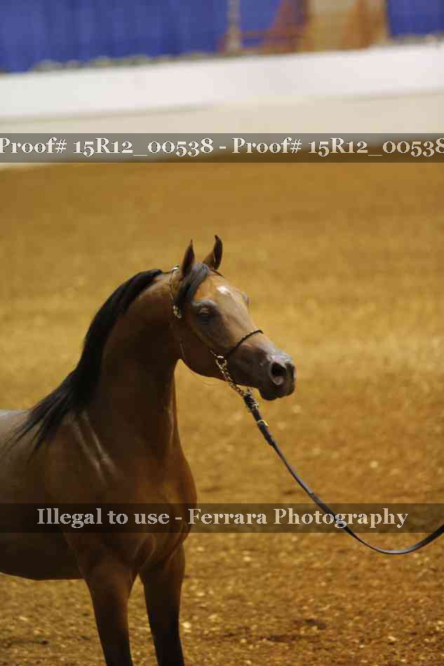 Proof 15R12_00538