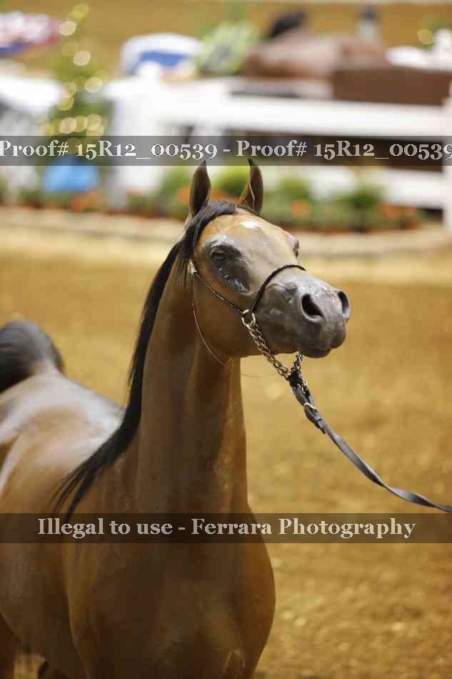 Proof 15R12_00539