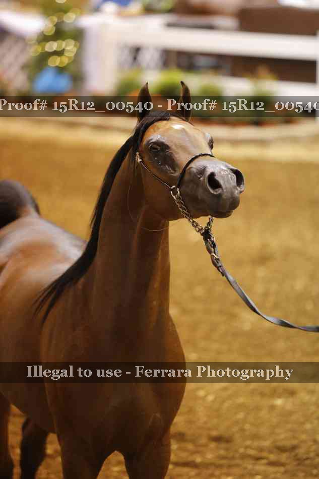 Proof 15R12_00540