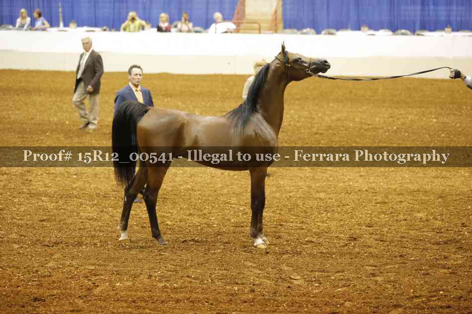 Proof 15R12_00541