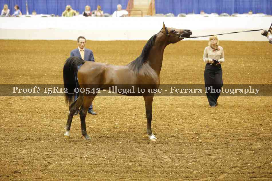 Proof 15R12_00542